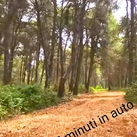 Il Cedro Charme&suite Affittacamere *