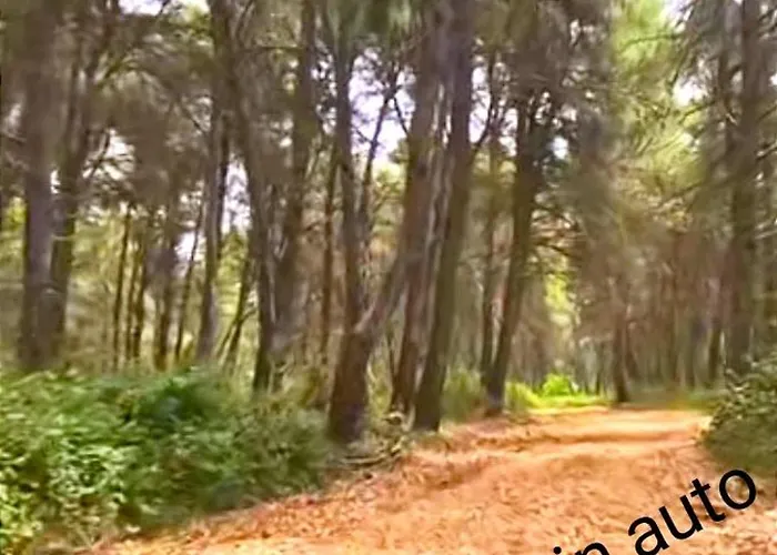 Il Cedro Charme & Pensionat *